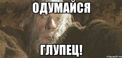Одумайся глупец!, Мем бегите глупцы - Рисовач .Ру