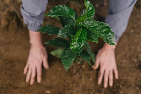 What’s inside a Greener Store?
