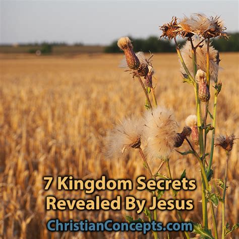 7 Shocking Secrets About Joseph, Apostle of Jesus, Revealed! - ysflgs6