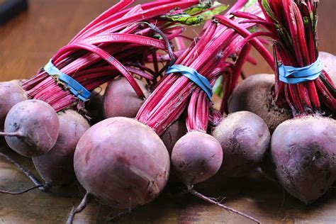 Free stock photo of beet, beet greens, beetroot