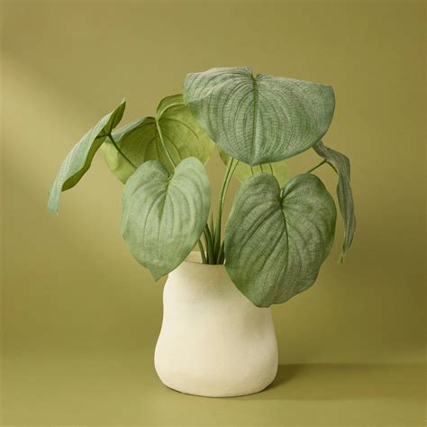 Faux Hosta Plant - Maliah Pot | Cream - 57cm