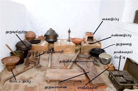 Pin by Praveena Prashanth on தமிழ் | Ancient history facts, Science ...
