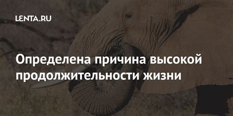 Определена причина высокой продолжительности жизни: Наука: Наука и ...