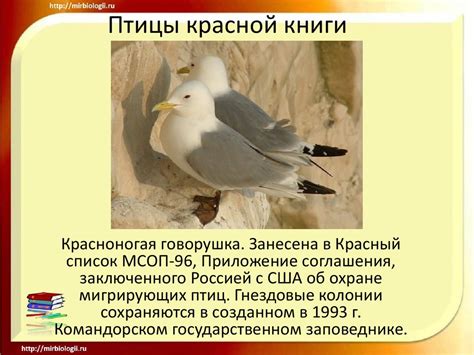 Птицы красной книги - презентация онлайн