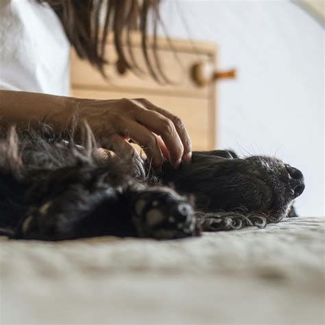 Tickling Time Photos, Download The BEST Free Tickling Time Stock Photos