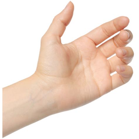 рука, кисть руки, жест - download free render hands and feet on Artage.io