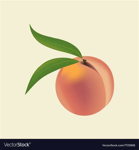 Peach Fruit Icon Royalty Free Vector Image - VectorStock