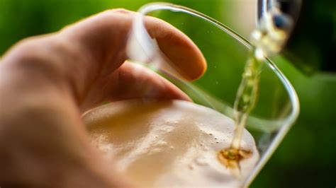 ale  lager beer types explained
