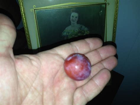 Chickasaw Plum Inventory - General Fruit Growing - Growing Fruit