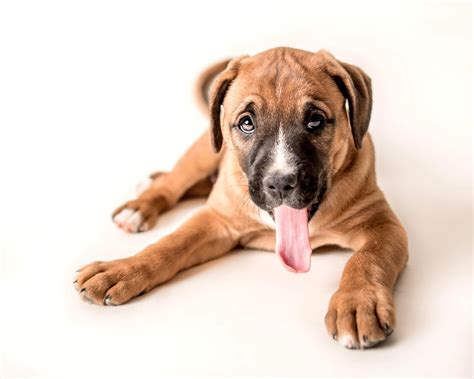 stephanie nicole... - stephanie nicole photography