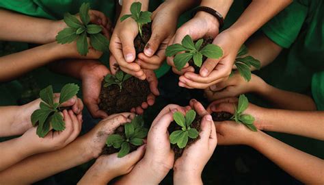 Como cuidar da Natureza - Ecoplan Sacos para Lixo