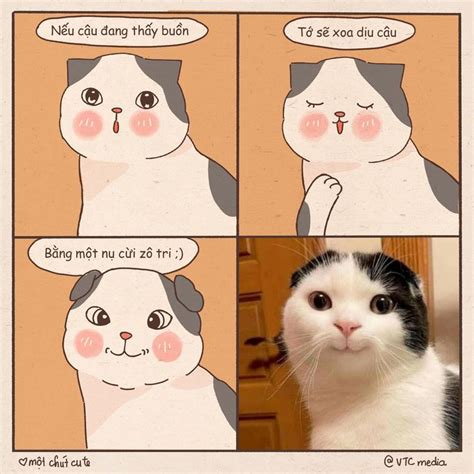 pin  pin tuan dung  meme world cute cats  dogs cute cats