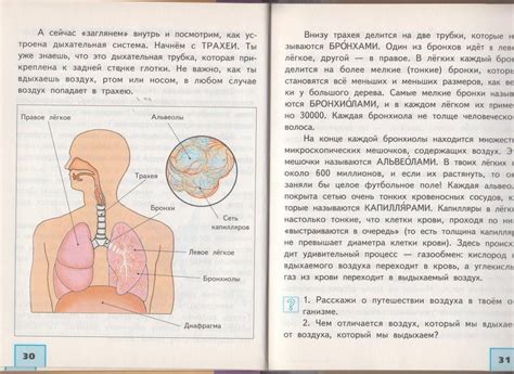 Книга: Окружающий мир. 4 класс. Учебник. В 2-х частях. Часть 2. ФГОС ...