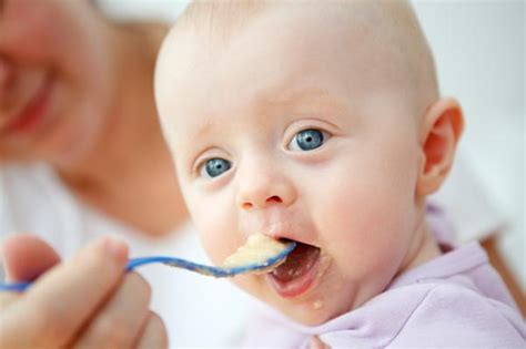 10 Healthy baby food purees