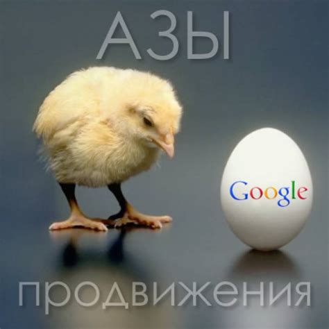Основы продвижения сайта в Google (Гугл)