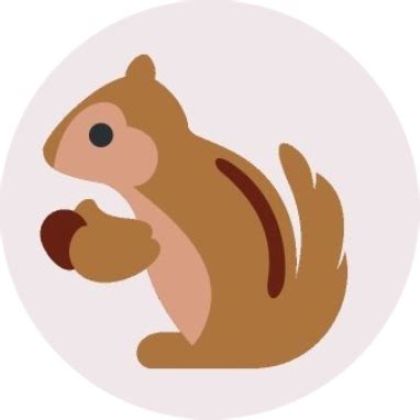Squirrel Finance Software