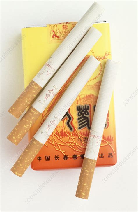Herbal cigarettes - Stock Image - M370/1037 - Science Photo Library