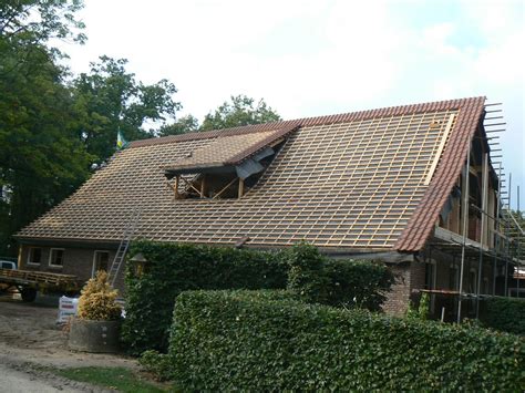 Domy z drewna: Dach Holandia