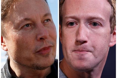 mark zuckerberg plays  elon musks cage fight details  independent