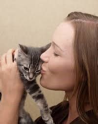 kissing kitten - Cat Tales