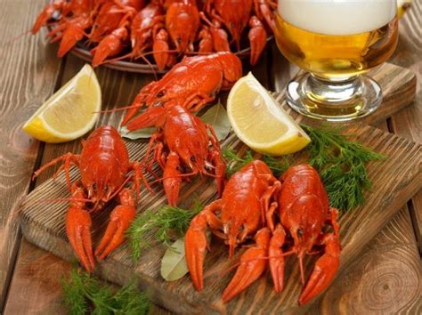 пиво и раки – 05 | Seafood cooking recipes, Seafood, Fish dishes