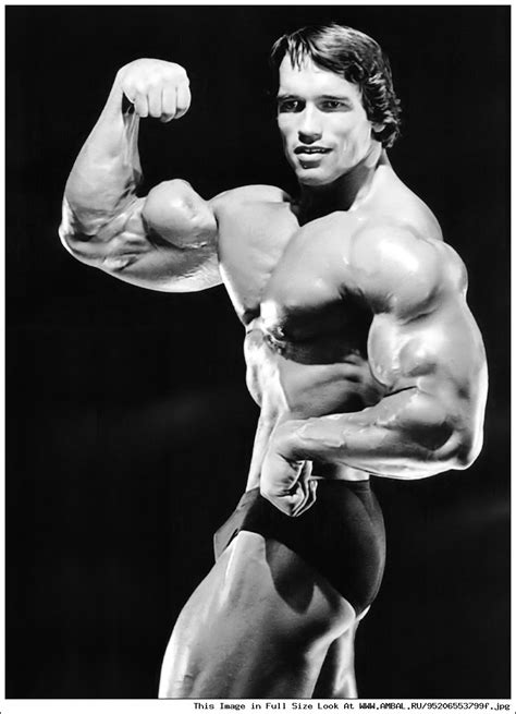 Арнольд Шварценеггер (Arnold Schwarzenegger), фотографии, биография ...
