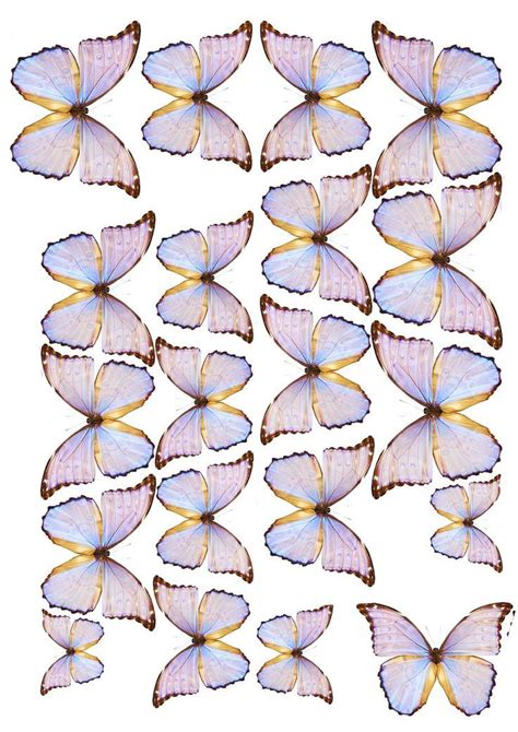 красивые нежные бабочки на торт | Butterfly art drawing, Butterfly ...