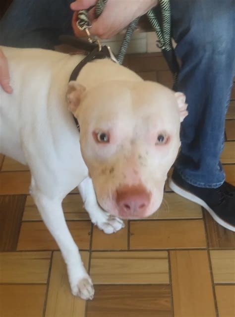 Tender Loving Care Animal Shelter