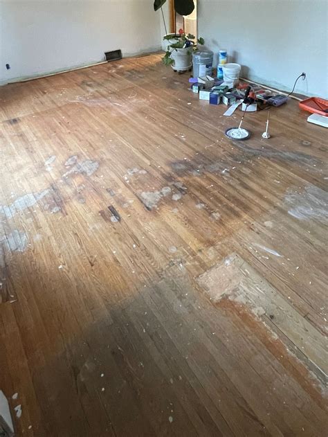 Do my floors have pet damage, or water damage? | The Hardwood Flooring