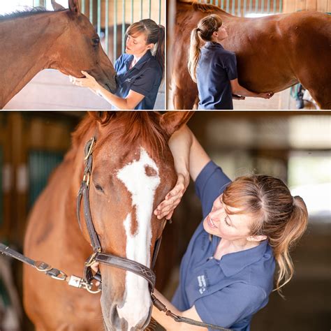 Heather Leonard | Equine Massage Therapy | Equine Advantage, LLC