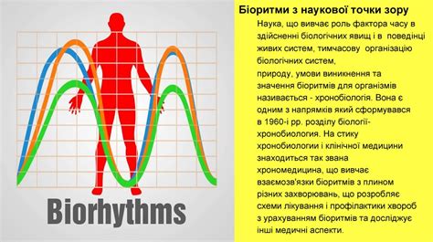 Добові біоритми - презентация онлайн
