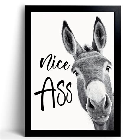 Amazon.com : Donkey Animal Prints Toilet Room Decor - Nice Ass Quotes