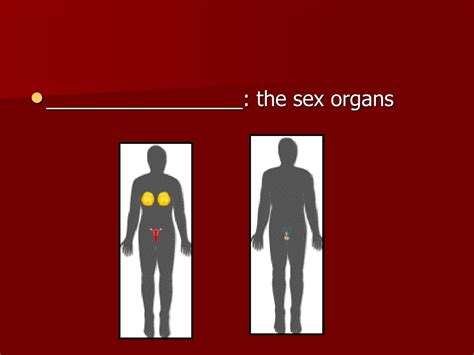 PPT - First Anatomy and Physiology quiz/test on MONDAY!!! PowerPoint