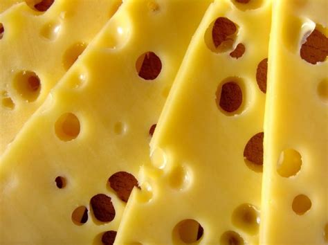 cheese    cheese animal guide homesteading