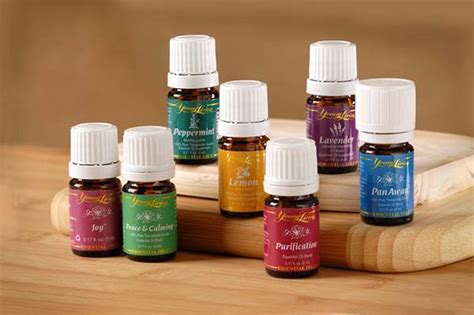 young living essential oils bakery hill natural health centre