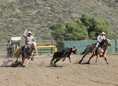 San Pasqual Valley Ranch - San Diego Roping
