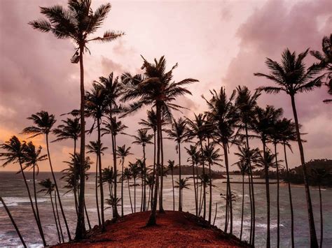 coconut tree hill mirissa  ultimate guide