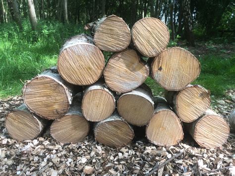 Log Arch For Sale Craigslist at Cecil Messer blog