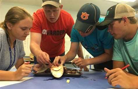 residential marine science class dauphin island sea lab