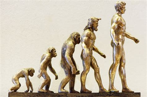 Tudo sobre Evolução | Guia do Estudante