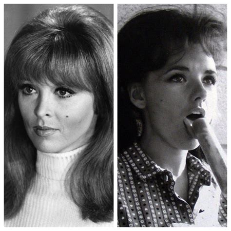 Ginger, or Mary Ann? Tina Louise and Dawn Wells (1969) : r/OldSchoolCool