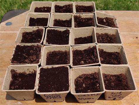 How Does Climate Affect Agriculture? – Climate Classes DC