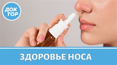 Как антисептики, мази и антибиотики нарушают микробиоту полости носа ...