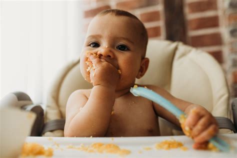 When Can I Give My Baby Food Top Sellers | cityofclovis.org