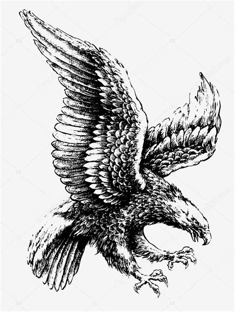 Eagle swooping tattoo | Swooping Tattoo Eagle — Stock Vector © m.j ...