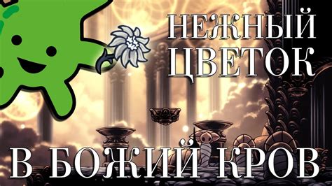 Как отнести НЕЖНЫЙ ЦВЕТОК в БОЖИЙ КРОВ в HOLLOW KNIGHT | ПАНТЕОН ...