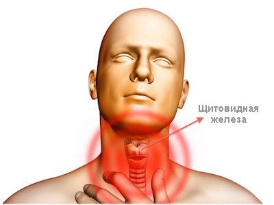 Диета при гипотиреозе