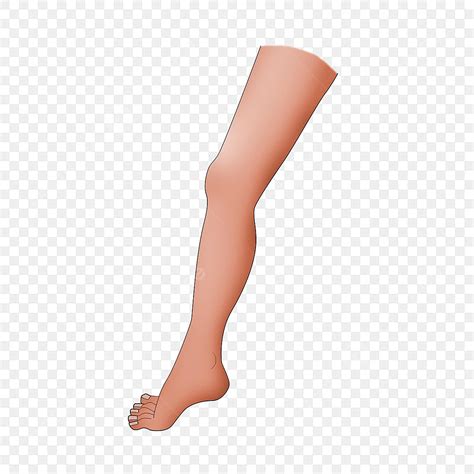 broken leg cartoon clipart transparent png hd cartoon character legs