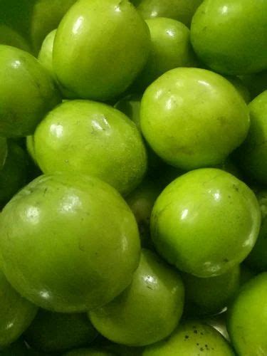 Apple Berry at ₹ 50/kilogram | Chejarla Mandali | Nellore | ID: 17410941262