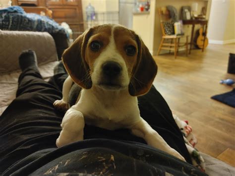 513 best FACE SITTING POV images on Pholder | Verified Feet, Titanfolk